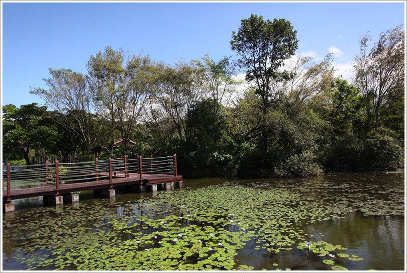 關山親水公園 (12).JPG 關山親水公園 (12).JPG