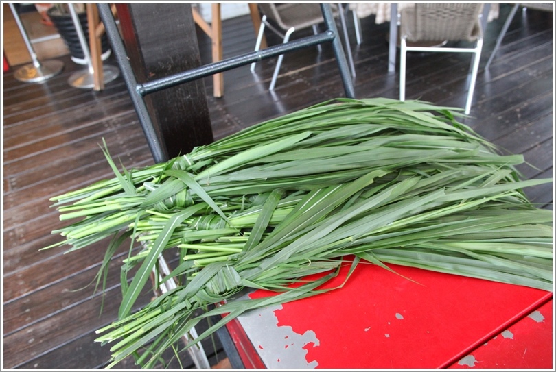瑞穗牧場 (7).JPG 瑞穗牧場 (7).JPG