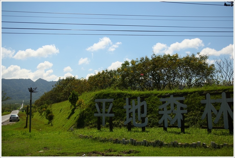 大農大富平地森林園區 (1).JPG 大農大富平地森林園區 (1).JPG
