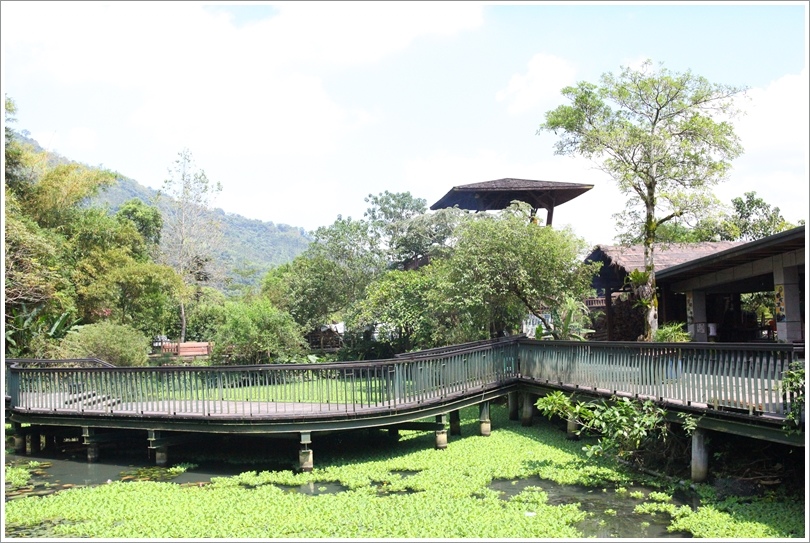 馬芙壟咖啡 (2).JPG 馬芙壟咖啡 (2).JPG