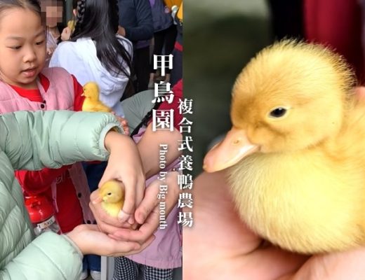 甲鳥園