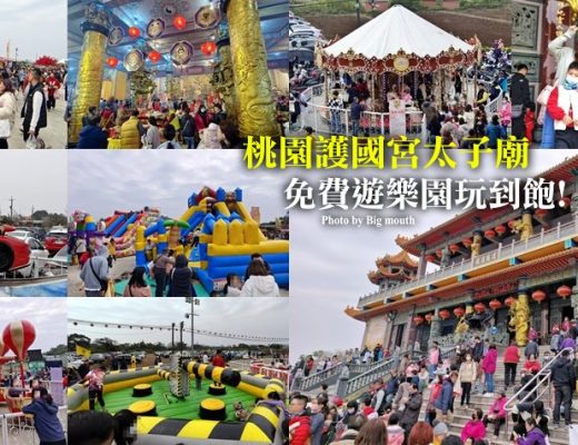 桃園護國宮太子廟