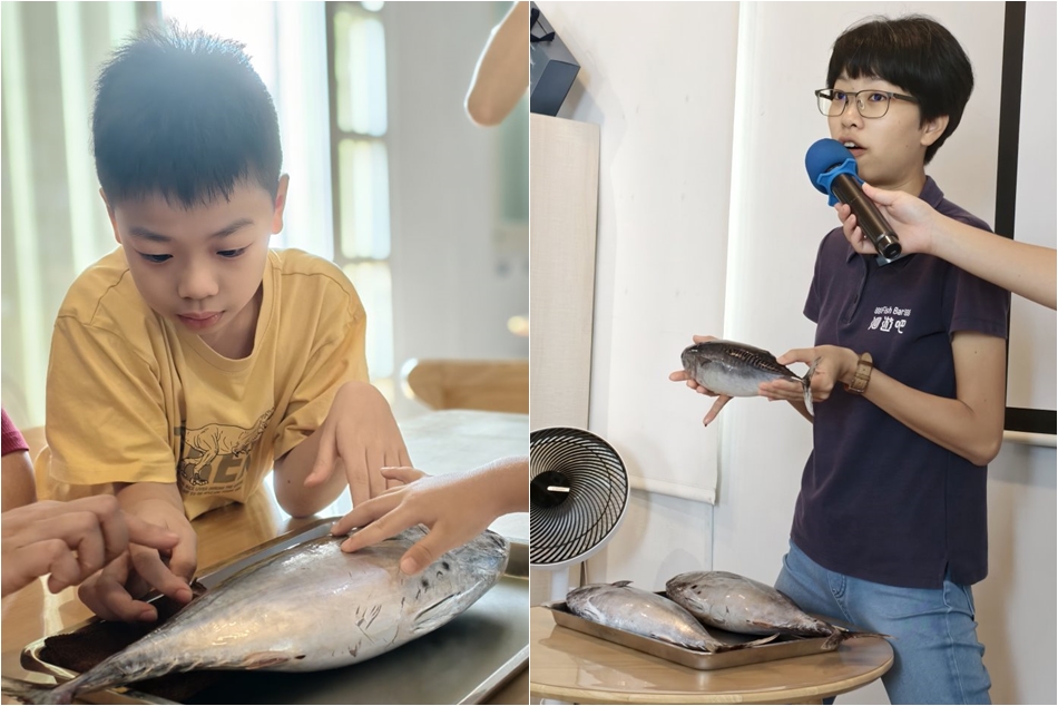 洄遊吧食魚體驗館