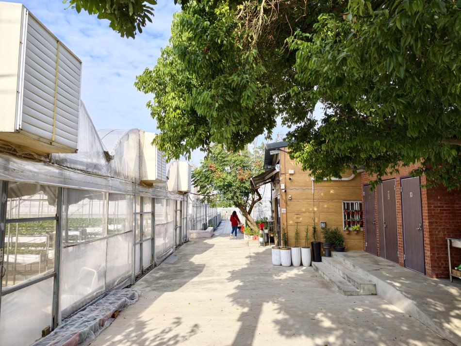 牛媽媽有機農場