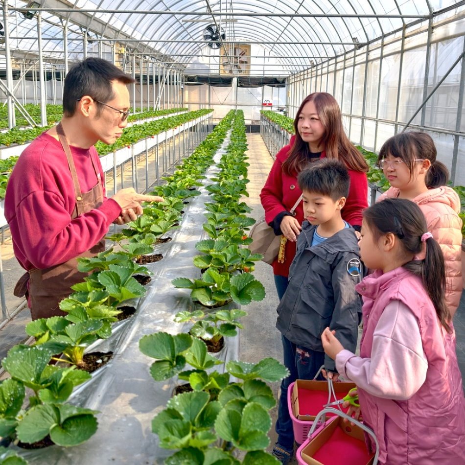 牛媽媽有機農場