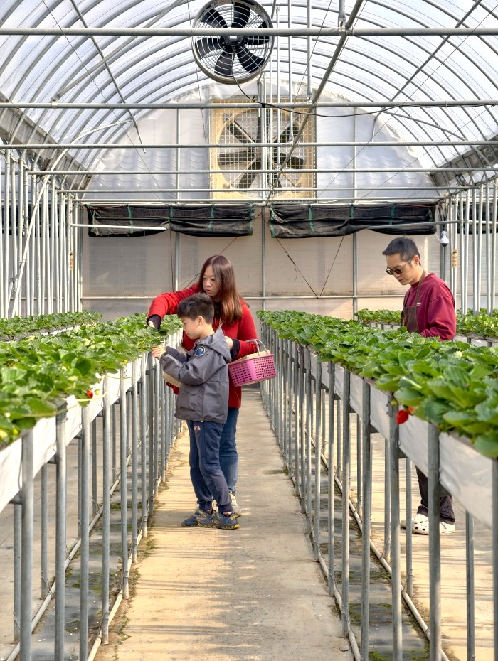 牛媽媽有機農場