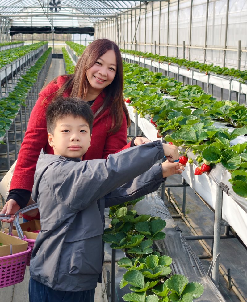 牛媽媽有機農場