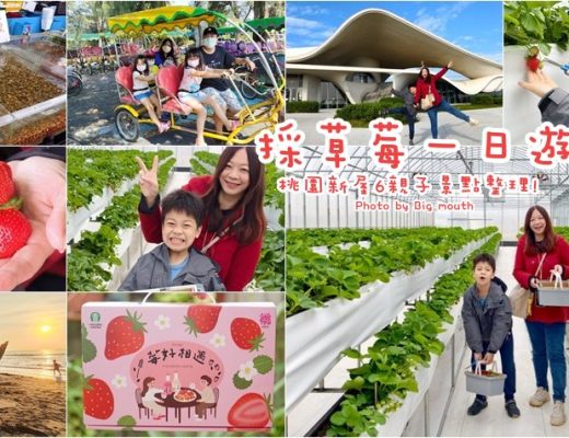 桃園新屋採草莓親子一日遊