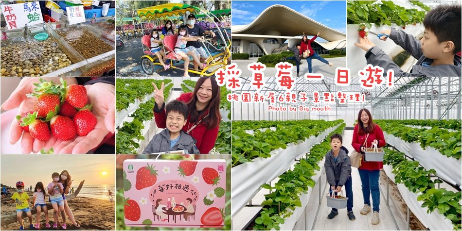 桃園新屋採草莓親子一日遊