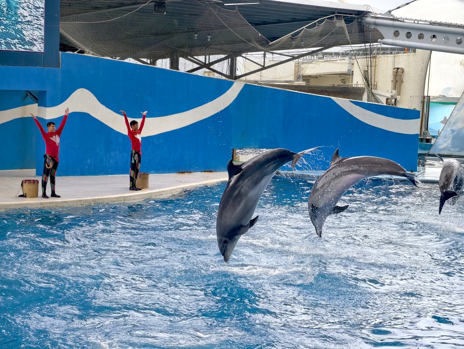 遠雄海洋公園海洋夜未眠