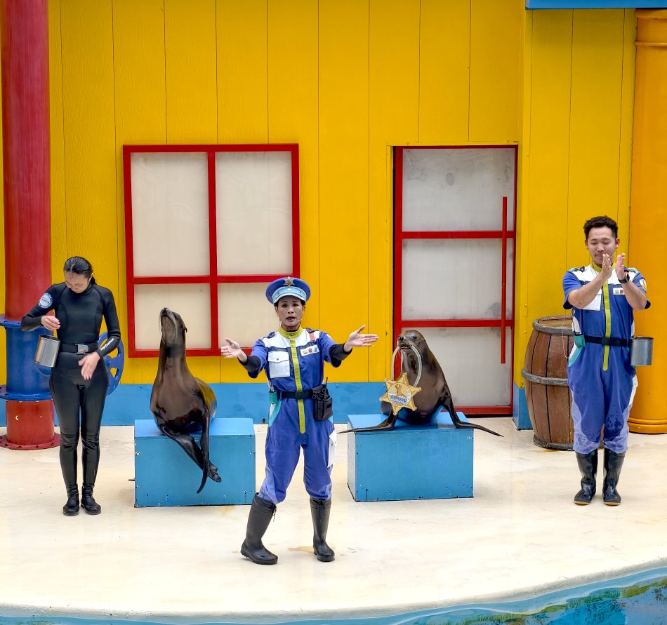 遠雄海洋公園海洋夜未眠