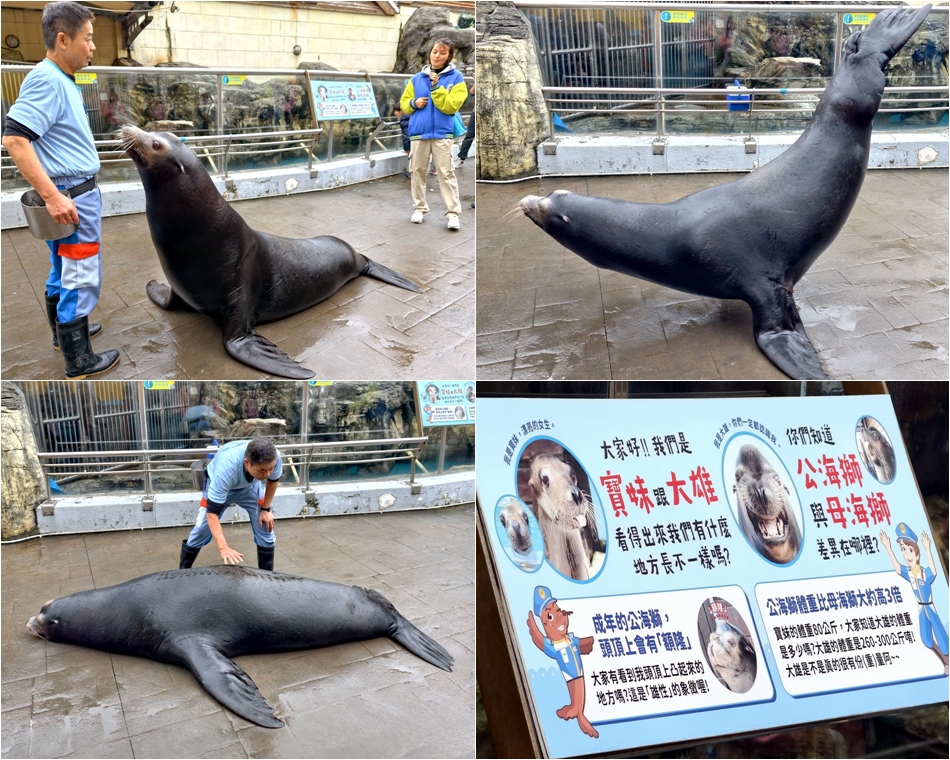 遠雄海洋公園海洋夜未眠