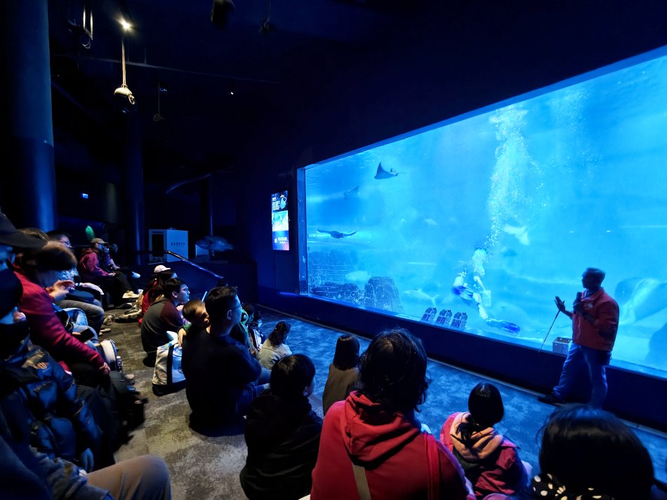 遠雄海洋公園海洋夜未眠