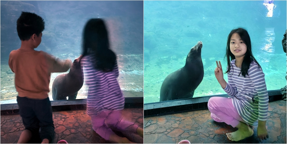 遠雄海洋公園海洋夜未眠