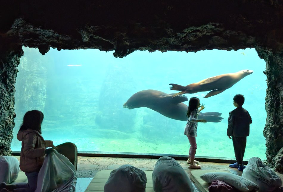 遠雄海洋公園海洋夜未眠