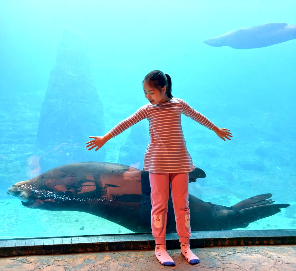 遠雄海洋公園海洋夜未眠