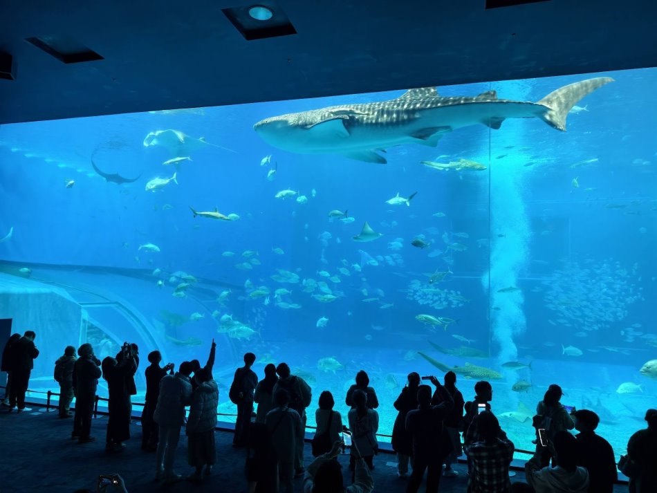 沖繩樂享周遊券