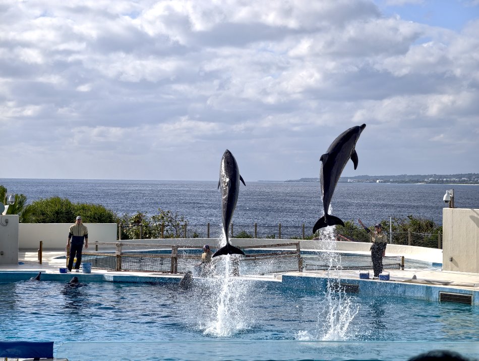 沖繩樂享周遊券