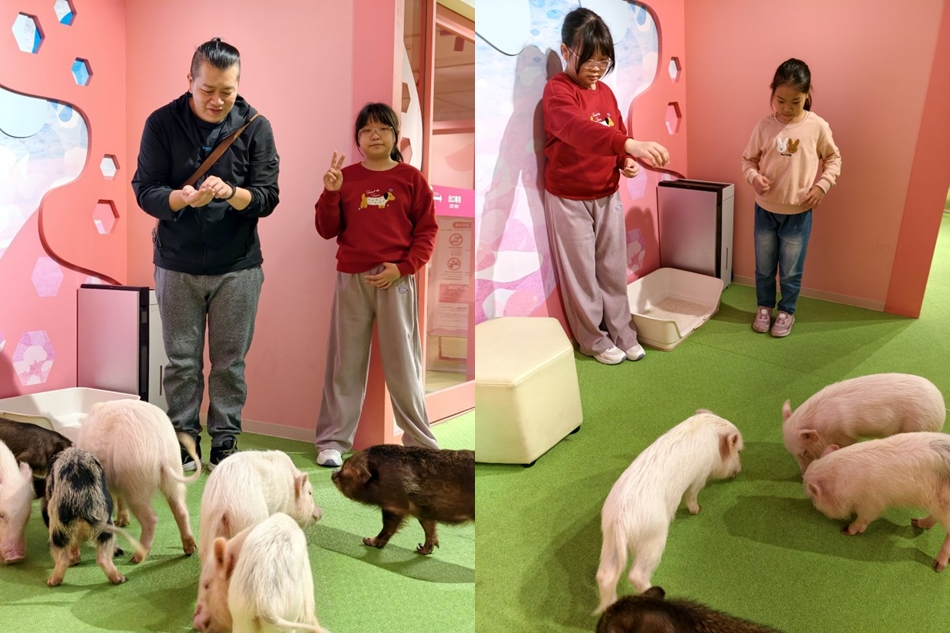 沖繩樂享周遊券