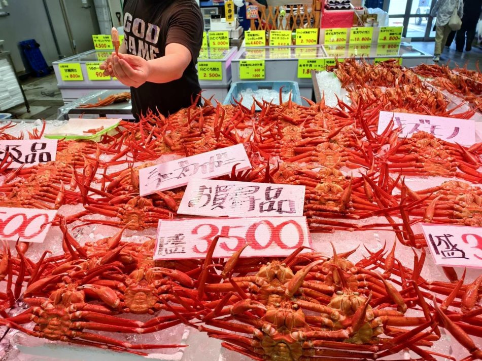 高品級紅楚蟹與現場剝蟹展示