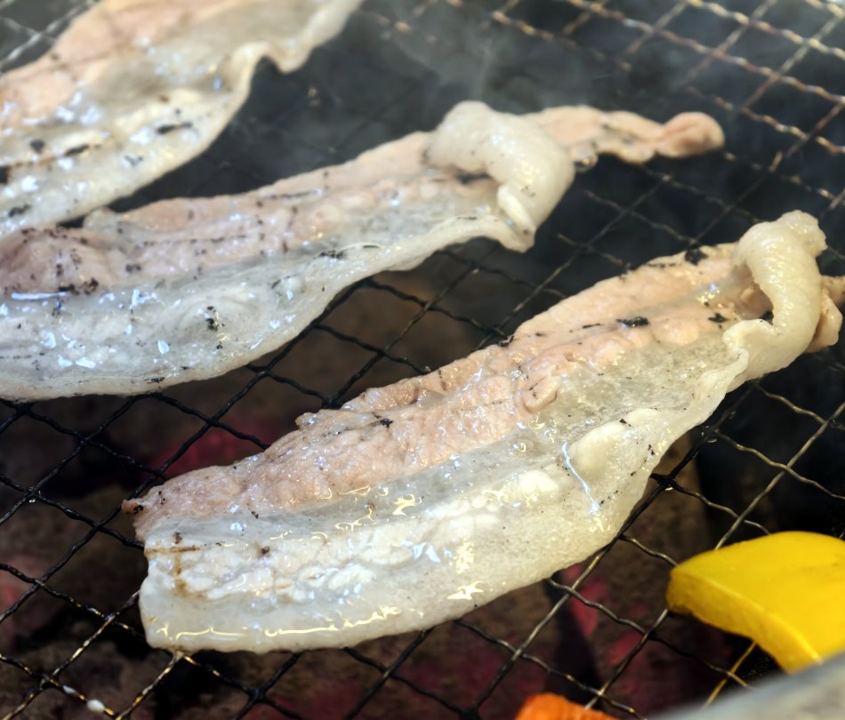 打開鐵便當盒看見滿滿蔥油雞肉