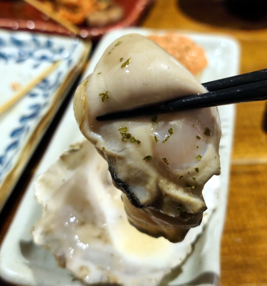筷子夾起巨大肥美的鮮生蠔特寫
