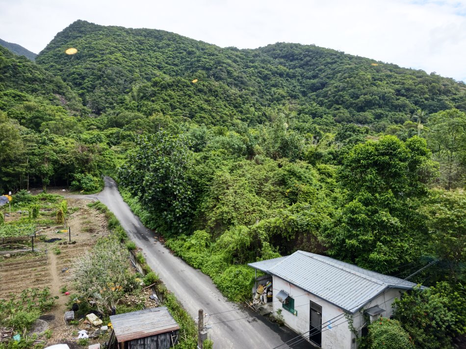 宜蘭礁溪白石腳路通往猴洞坑瀑布沿途翠綠山景