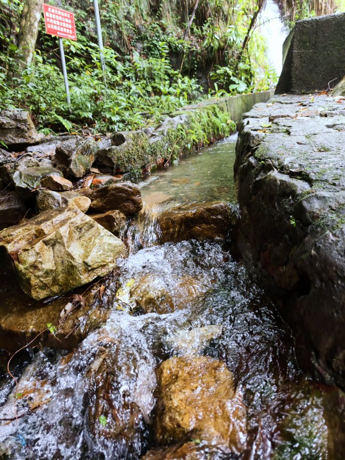 猴洞坑步道旁水質清澈見底的天然水圳溪流