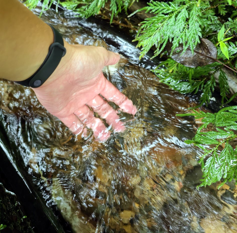 伸手觸碰猴洞坑冰涼透徹的天然山泉溪水