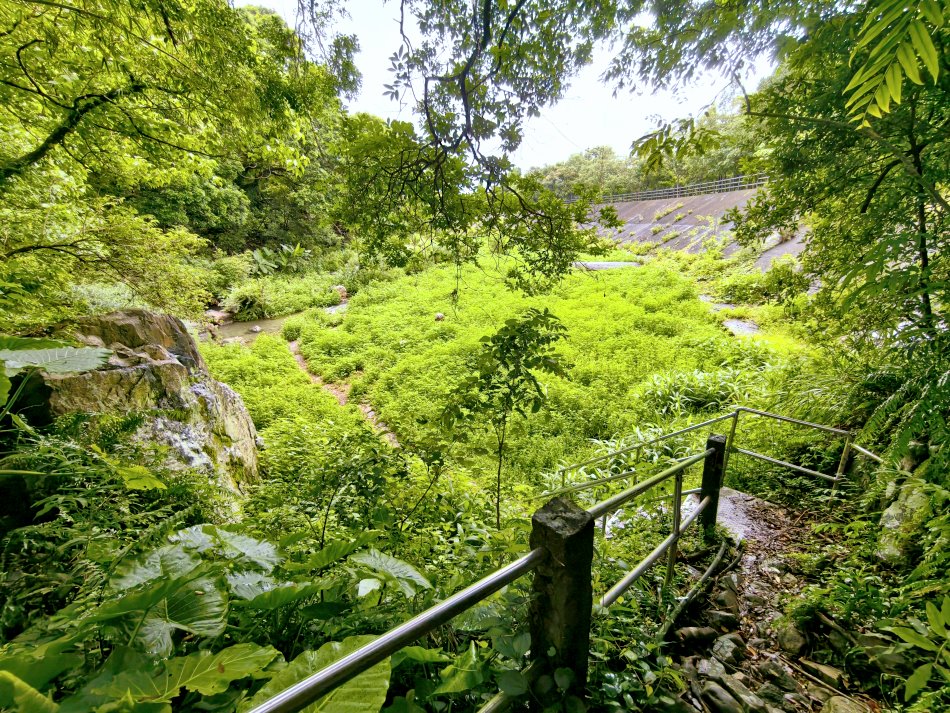 由步道階梯俯瞰青山環繞的猴洞坑河谷綠意