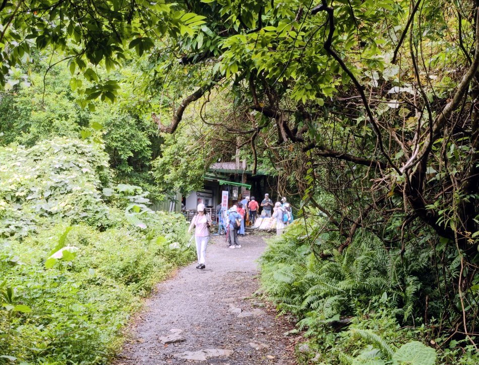 猴洞坑瀑布綠蔭遮蔽的平緩碎石健走步道