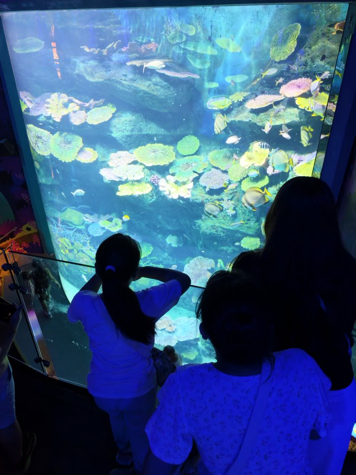 遊客俯瞰曼谷水族館挑高的大型五彩珊瑚礁水族箱與熱帶魚群