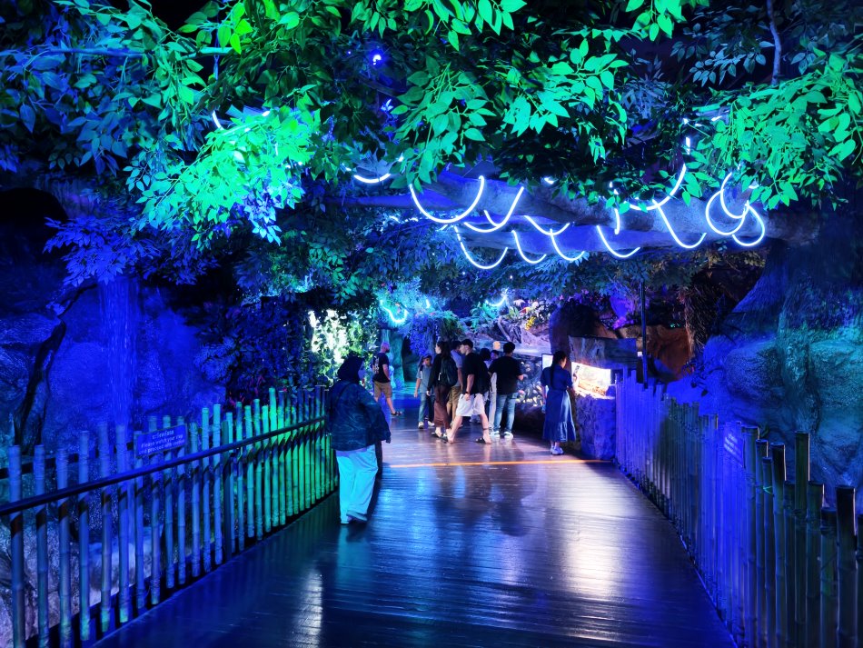 熱帶雨林探險Rainforest Adventure展區綠意盎然的木棧道與特色燈飾