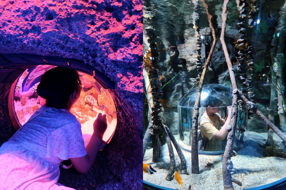 小朋友鑽入水族箱中央透明潛水鐘半球體觀察艙零距離看魚群