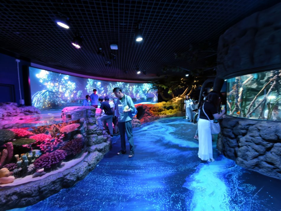 熱門的潮間帶觸摸池Touch Pool環景海岸動態投影與開闊動線