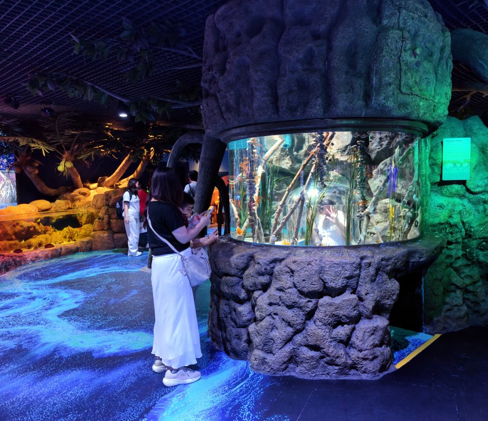 家長在巨石水族柱外拍攝孩子在透明觀察艙內揮手的生動畫面