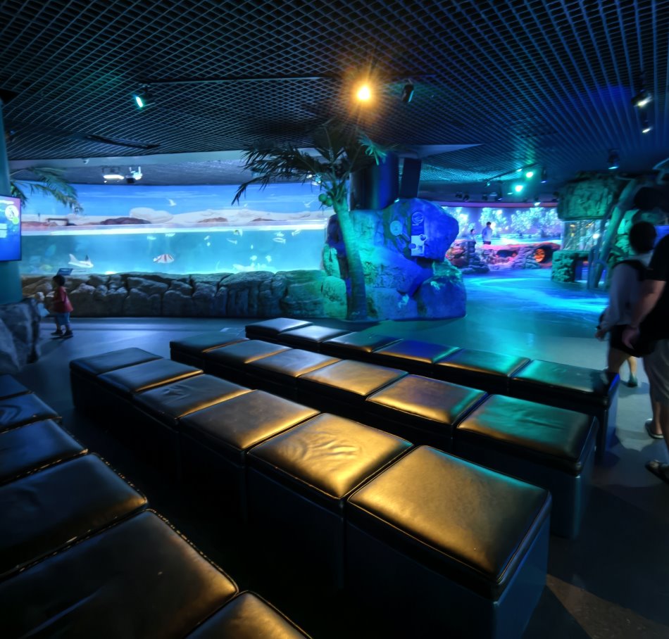 水族館內寬敞舒適的皮質沙發休息區可一邊歇腳一邊靜賞環景水缸