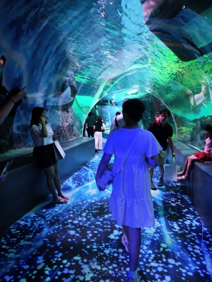 曼谷暹羅海洋世界招牌270度全景透明海底隧道與漫步遊客