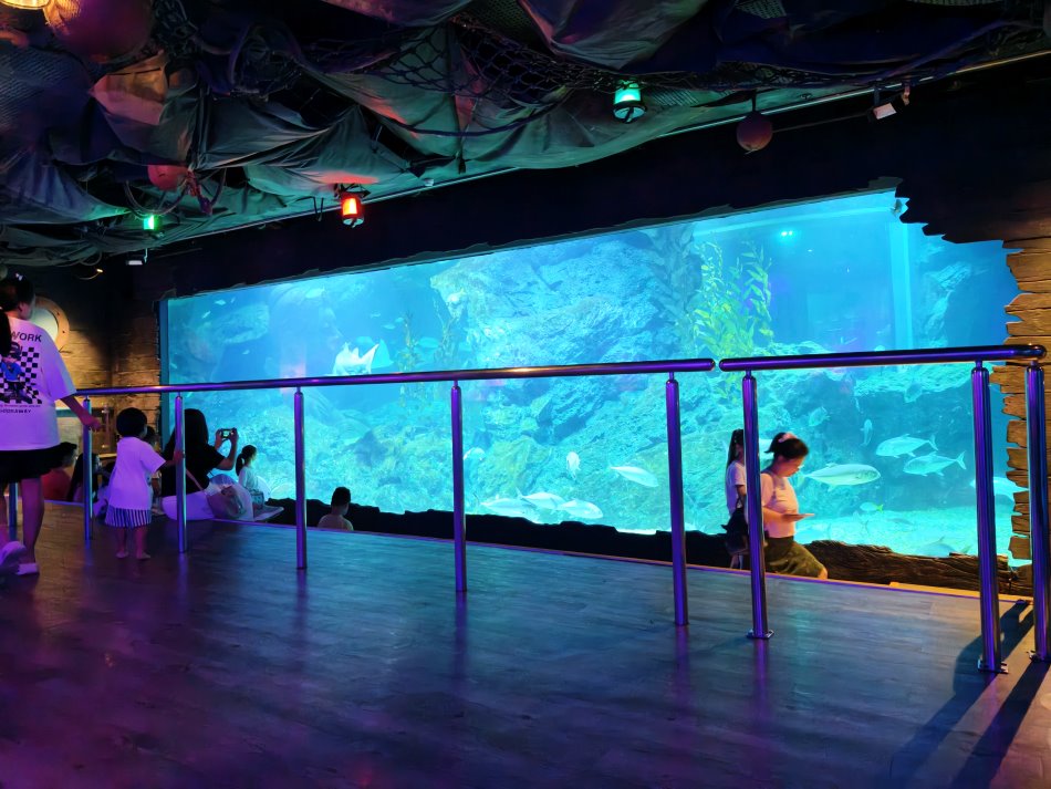 寬敞開闊的海底觀景看台與大片透明全景展示窗