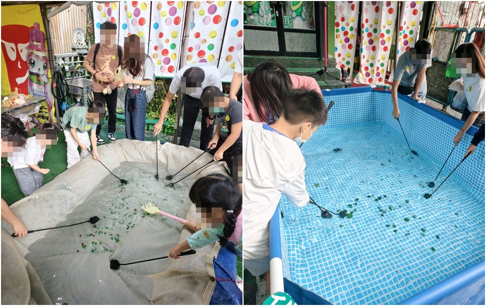 大人小孩拿著特製撈網在水池中垂釣撈彈珠